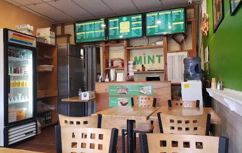Mint Indian Eatery